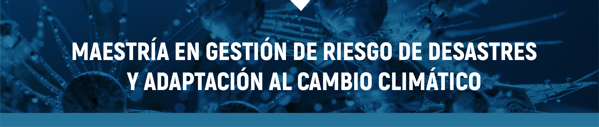 Charla Informativa para interesados en la Maestría en Gestión de Riesgo de Desastres y Adaptación al Cambio Climático